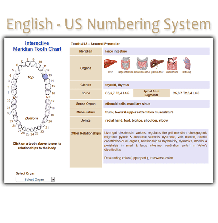 Order English US Numbering System