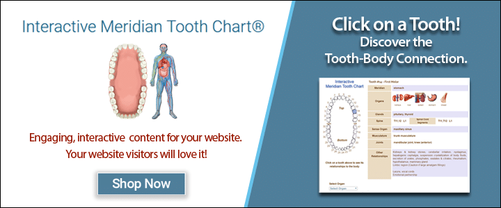 Tooth Meridian Chart Interactive